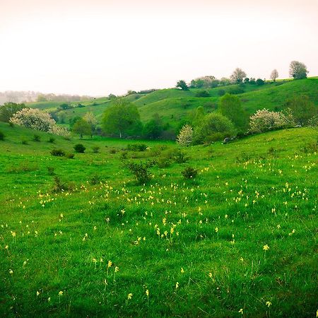 Talldungens Gardshotell Брёсарп Экстерьер фото